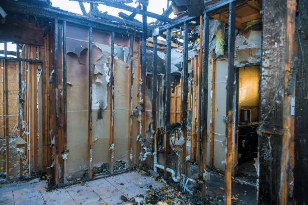 Professional Fire Damage Removal technician working in Forreston, IL